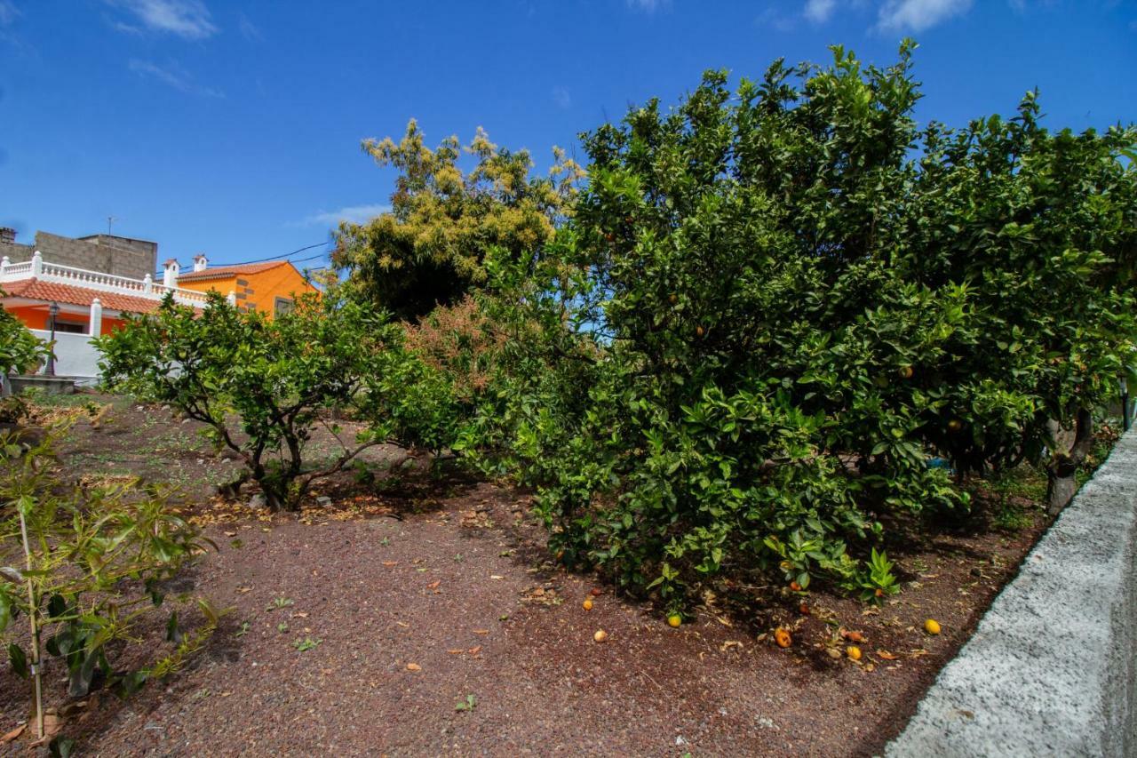 Villa Casa Marjoes - Terrace, BBQ&Parking Moya  Exterior foto